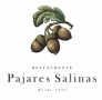 pajares salinas logo